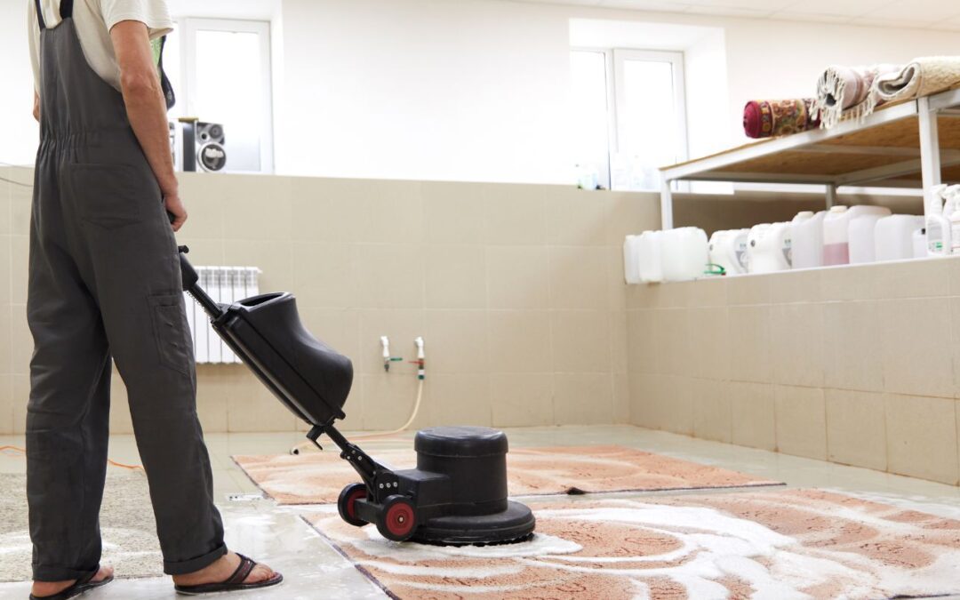 Diferencias entre limpieza, desinfección y esterilización en entornos profesionales