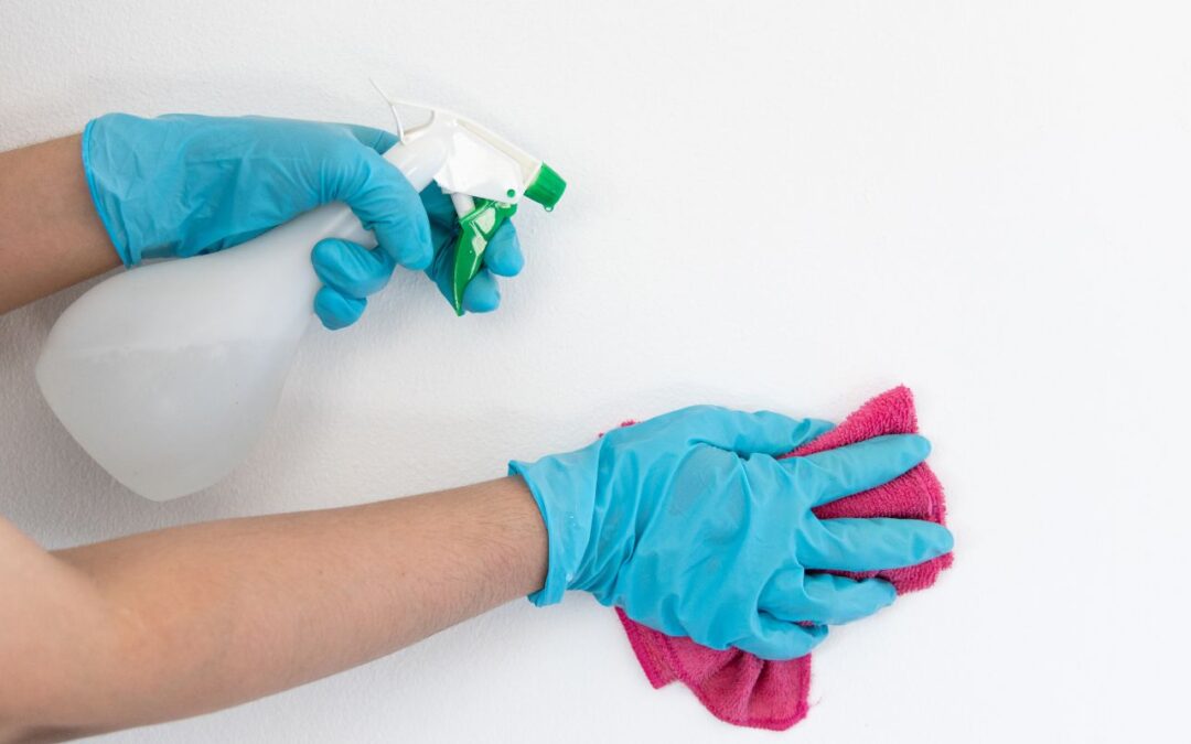 Cómo elegir los productos de limpieza adecuados para tu negocio de hostelería