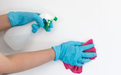 Cómo elegir los productos de limpieza adecuados para tu negocio de hostelería