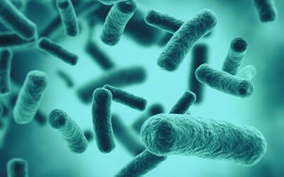 Bactericida vs Bacteriostático: Diferencias, Aplicaciones y Cuándo Usar Cada Uno