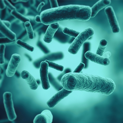 Bactericida vs Bacteriostático: Diferencias, Aplicaciones y Cuándo Usar Cada Uno